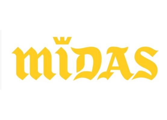 MIDAS ITALIA SPA (GRUPPO MOBIVIA)